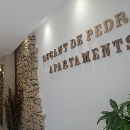 Gegant De Pedra Apartaments Adzaneta Kültér fotó